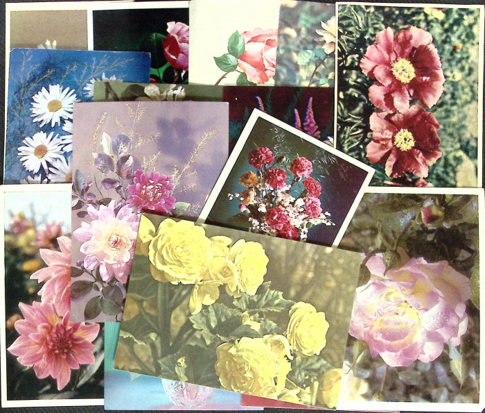 Набор открыток &quot;Цветы&quot;, ассорти, 40 шт.